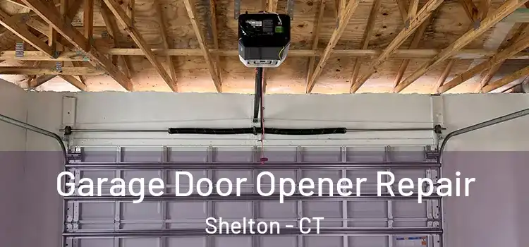  Garage Door Opener Repair Shelton - CT