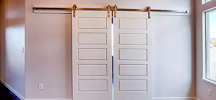 Glass Barn Door with Installation Hardware Kit Shelton
